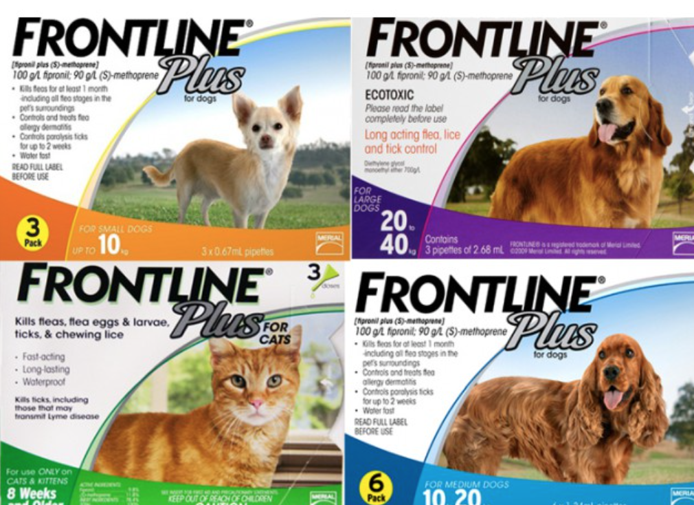 Nhỏ gáy trị ve rận Frontline Plus cho mèo và chó
