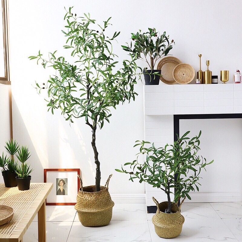 Cây oliu giả - Size 130cm đến 160cm - Oliu giả lõi thép trang trí - Cây giả, hoa lụa Decor trang trí nhà cửa