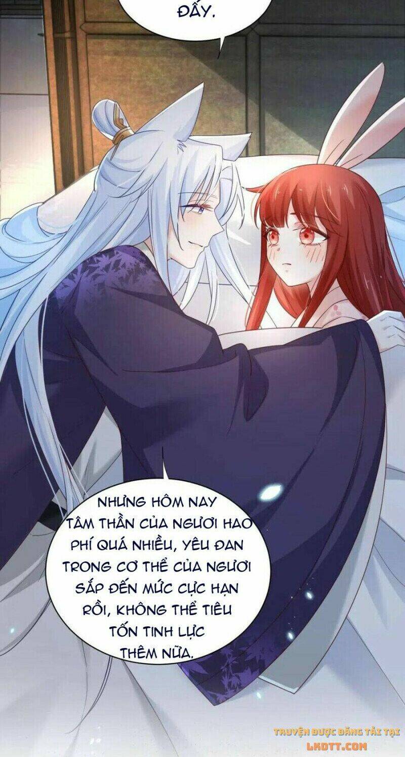 hắc hóa nam chính trực tuyến nuôi thỏ chapter 59 38