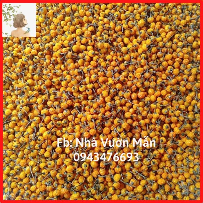 50 Trái (+tặng thêm 10 trái) Ớt Mắc Nhất Thế Giới Aji Charapita 570tr/kg Loại Ớt Ngon Và Đắt Nhất Thế Giới