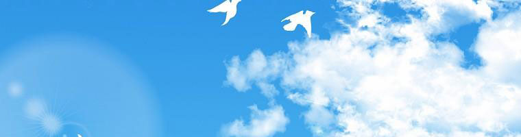 tôi sẽ cứu lấy nam chính tiểu thuyết bl chapter 24.1 173