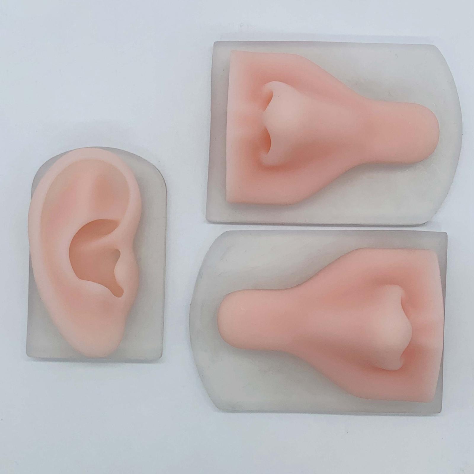 2Pcs Human Body Part Model Flexible Mold for Piercing Exercises Ears