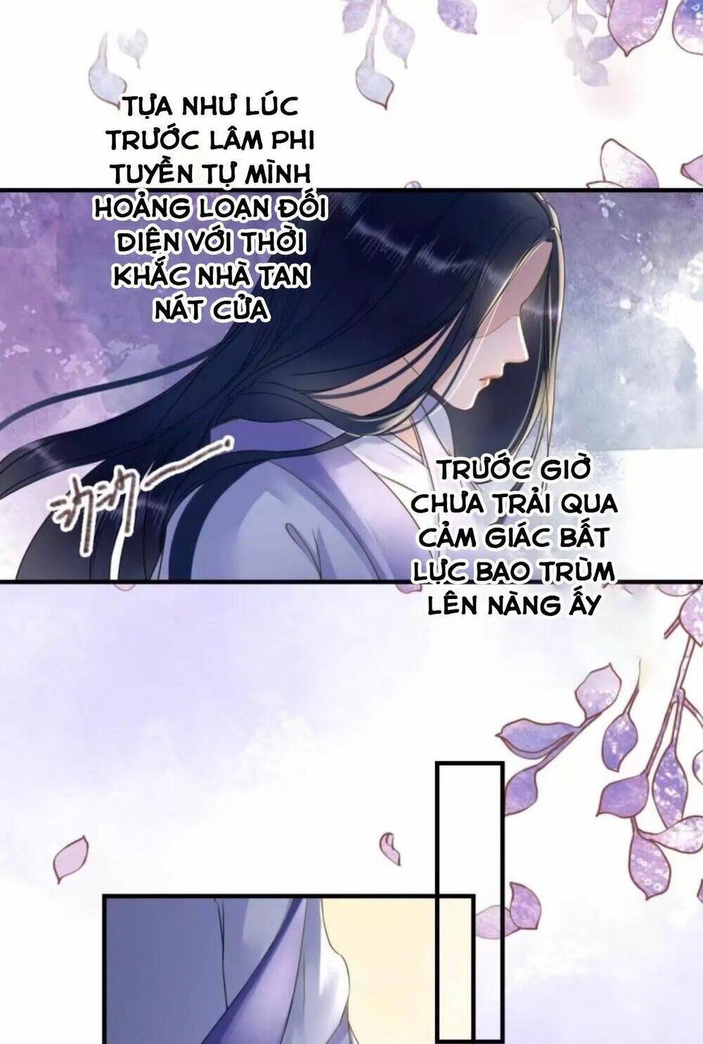 sủng phi của vương chapter 110 28