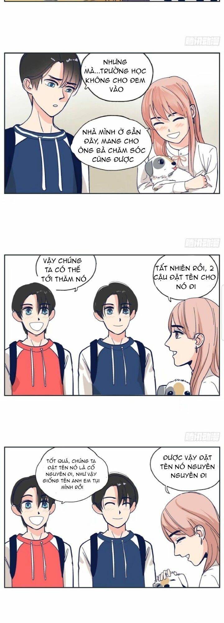 song bào thai theo đuổi nữ thần chapter 2 17