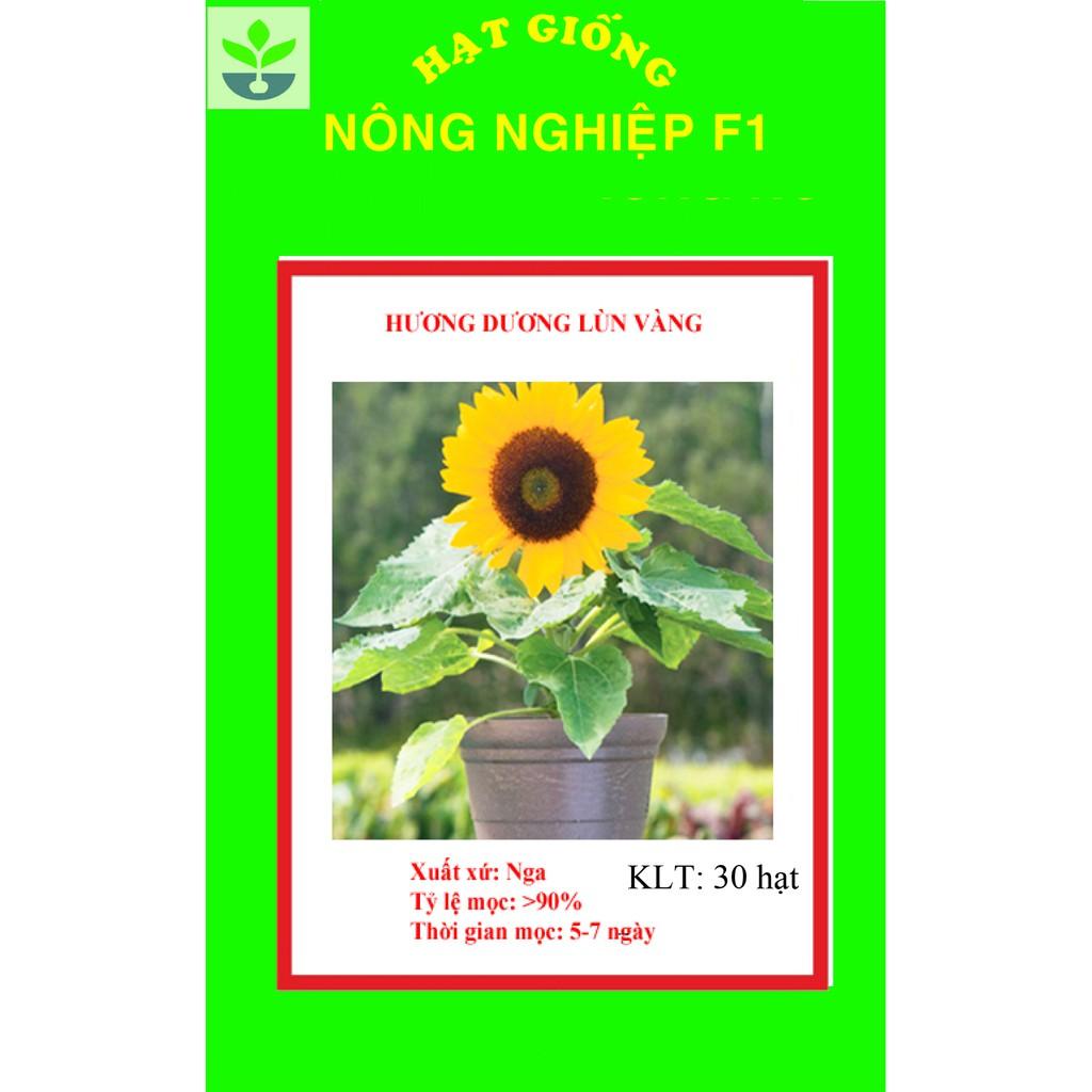 Gói 30 hạt giống hoa hướng dương lùn vàng