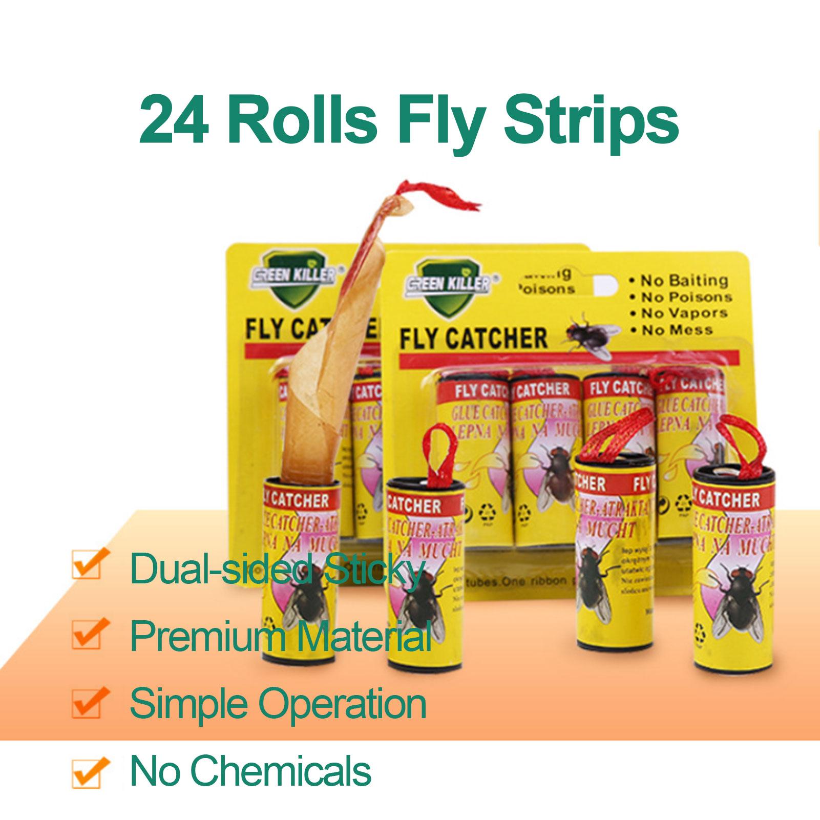 Set 24 Cuộn Keo Bẫy Ruồi Hai Mặt Dính Không Có Hóa Chất