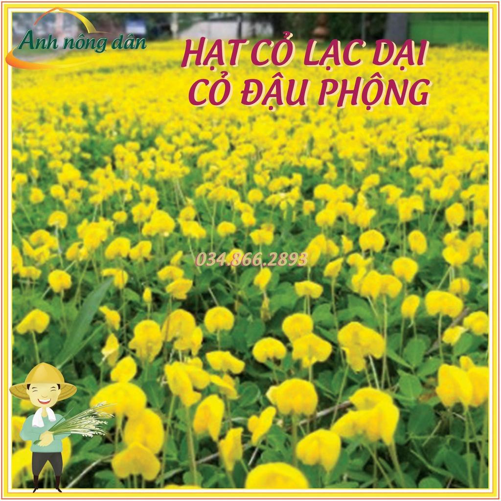 10g Hạt giống cỏ lạc dại - Hạt giống cỏ đậu phộng - Cỏ trồng công trình, sân vưởn