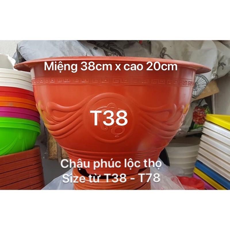 Chậu nhựa 10 chậu T38 đỏ gạch