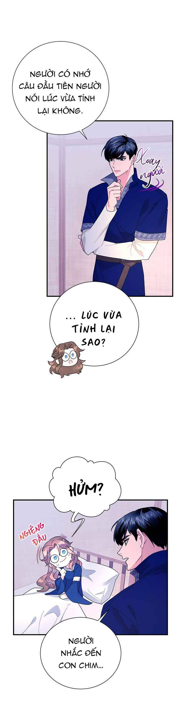công chúa của loài chim chapter 42.1 24
