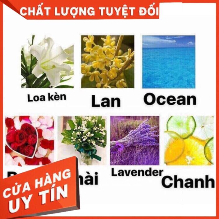 SIÊU SALE TINH DẦU THƠM ĐỂ PHÒNG +TẶNG KÈM HOA KHÔ THANH TOẢ HƯƠNG