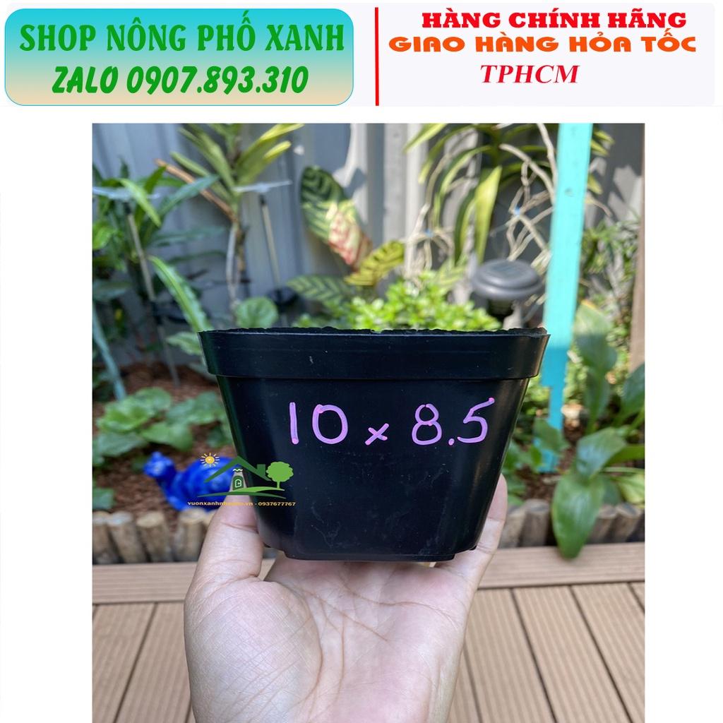 Chậu đen dẻo trồng sen đá bonsai xương rồng ươm cây con, trồng phôi bonsai mini