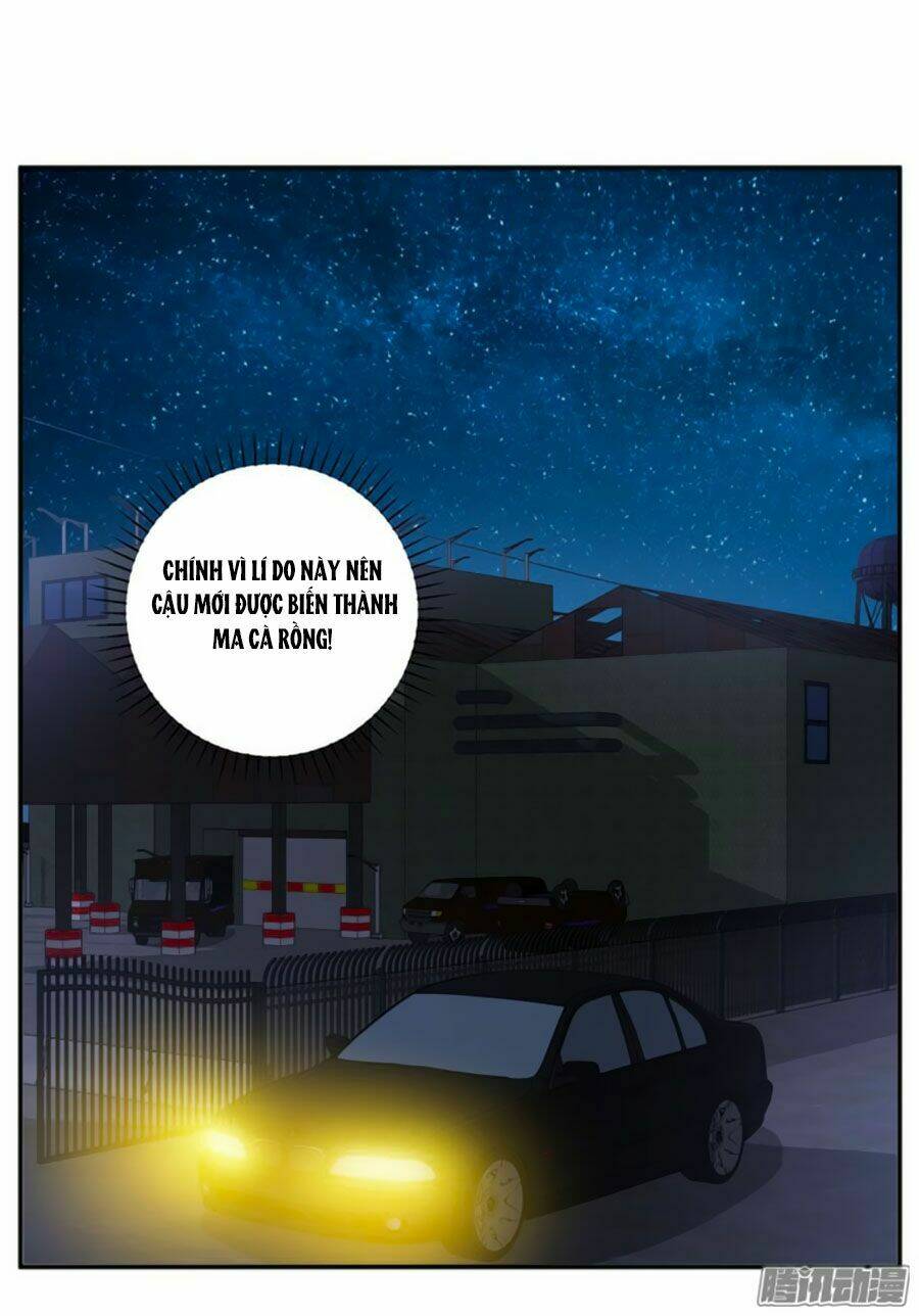 người yêu khát máu của tôi chapter 73 9