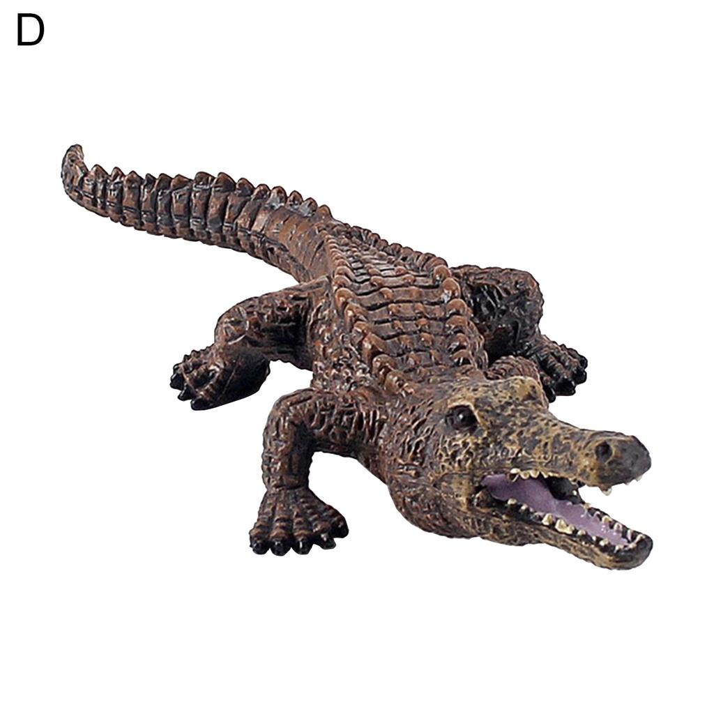 Lightweight Crocodiles Knowledge Toy Exquisite Crocodile Model Portable for Kids
