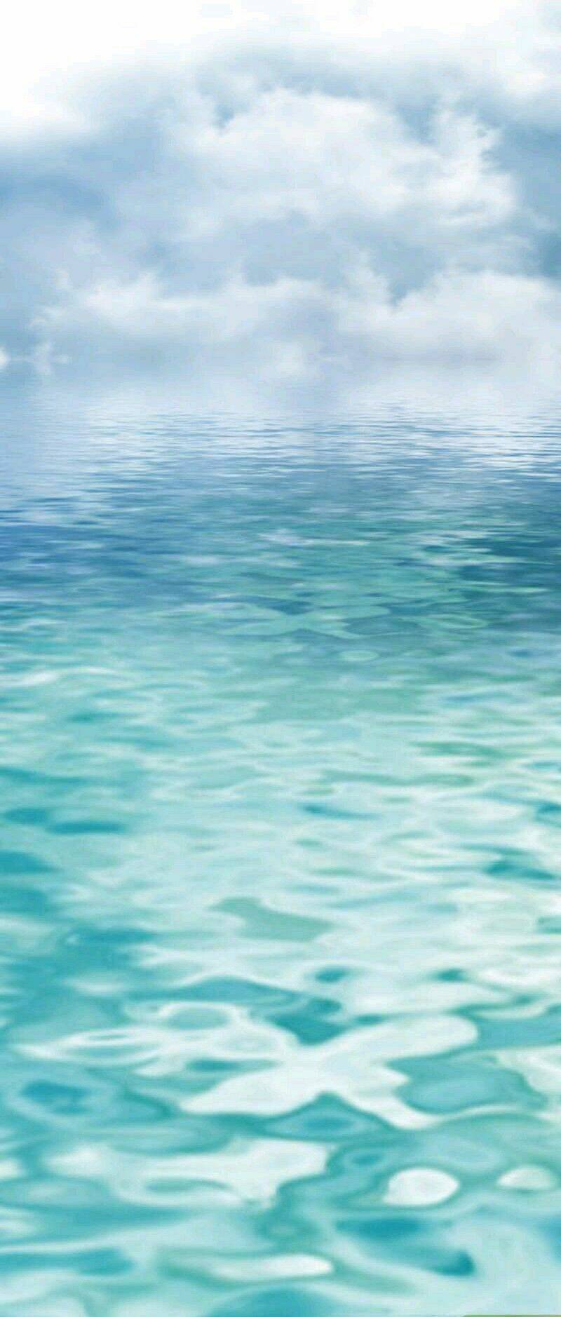 động vật nhỏ thật đáng yêu chapter 8 4