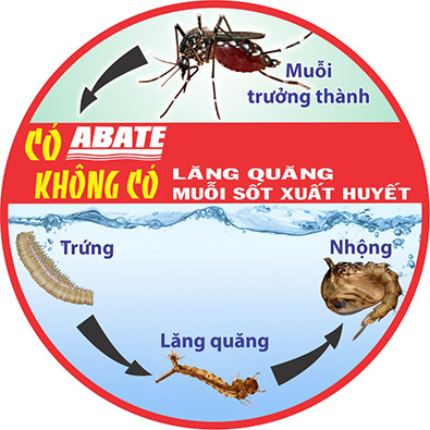 Chất diệt bọ gậy (lăng quăng) Abate 1SC - BAFS CHLB Đức (100g chai) 2