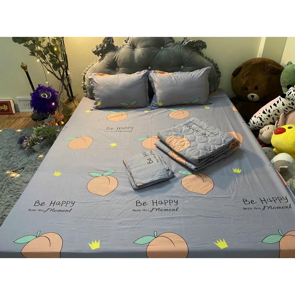 Bộ ga gối cotton giá rẻ 180x200x10cm màu xám họa tiết trái đào