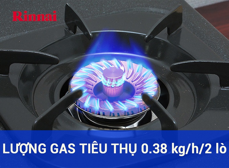 Bếp gas đôi dương Rinnai RV-375 SW - Hàng chính hãng