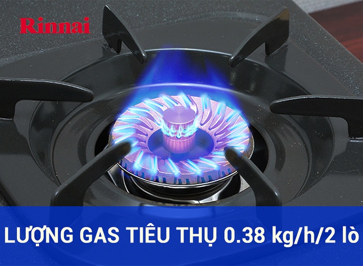 Bếp gas đôi dương Rinnai RV-375 SW(N) (Trắng)- Hàng chính hãng