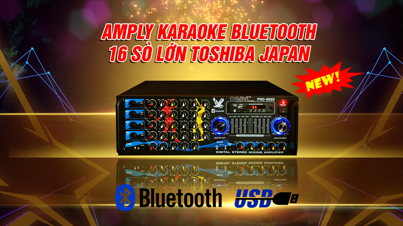 Amply Bluetooth Karaoke gia đình 16 sò lớn Cali.D&Y PRO 999D - Hàng chính hãng