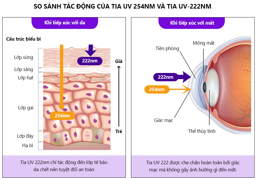 Đèn UV diệt khuẩn Dr.Ozone Dr.Air UV-222 loại treo tường - Hàng Chính Hãng