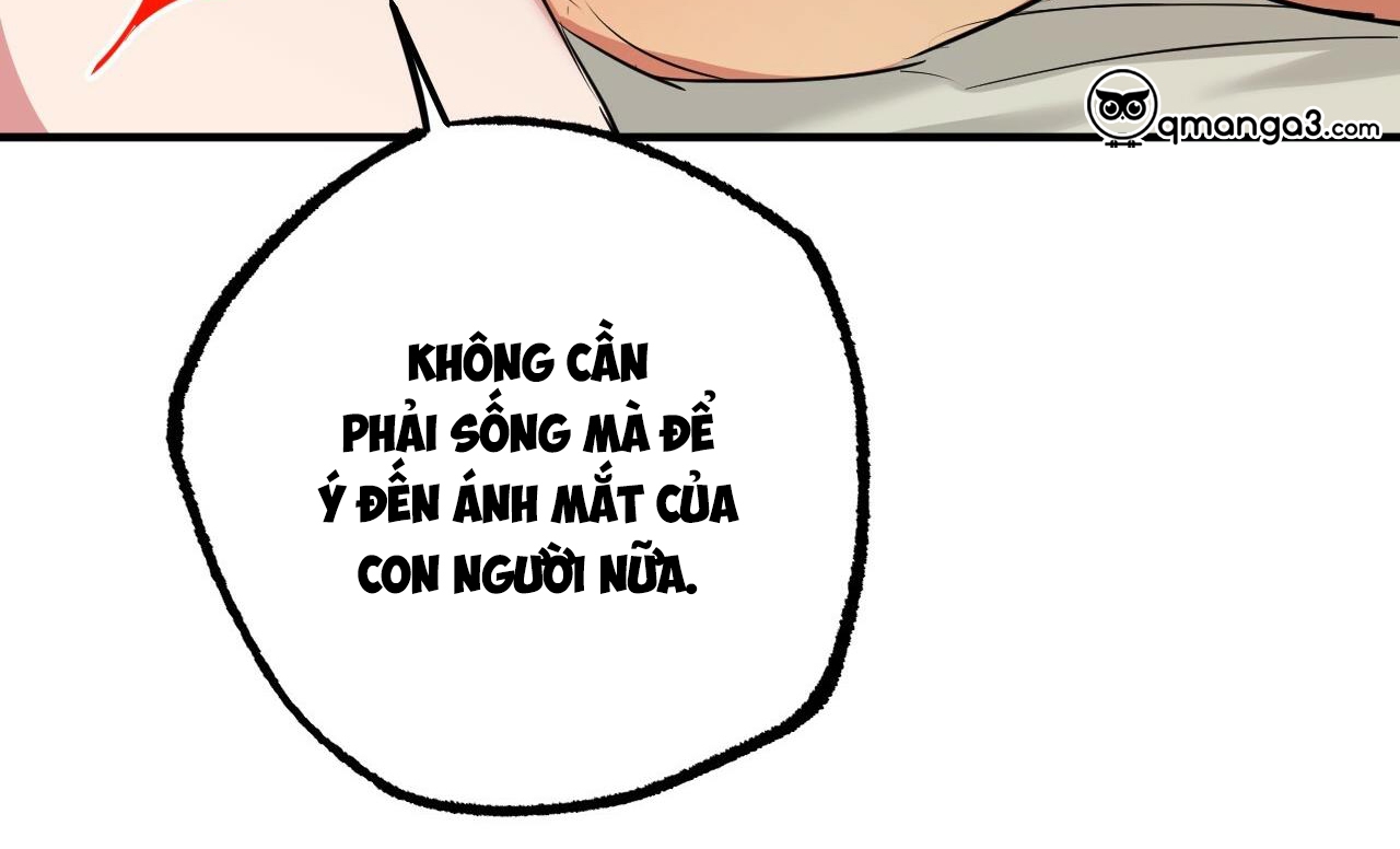 đàn thỏ của habibi chapter 38 249