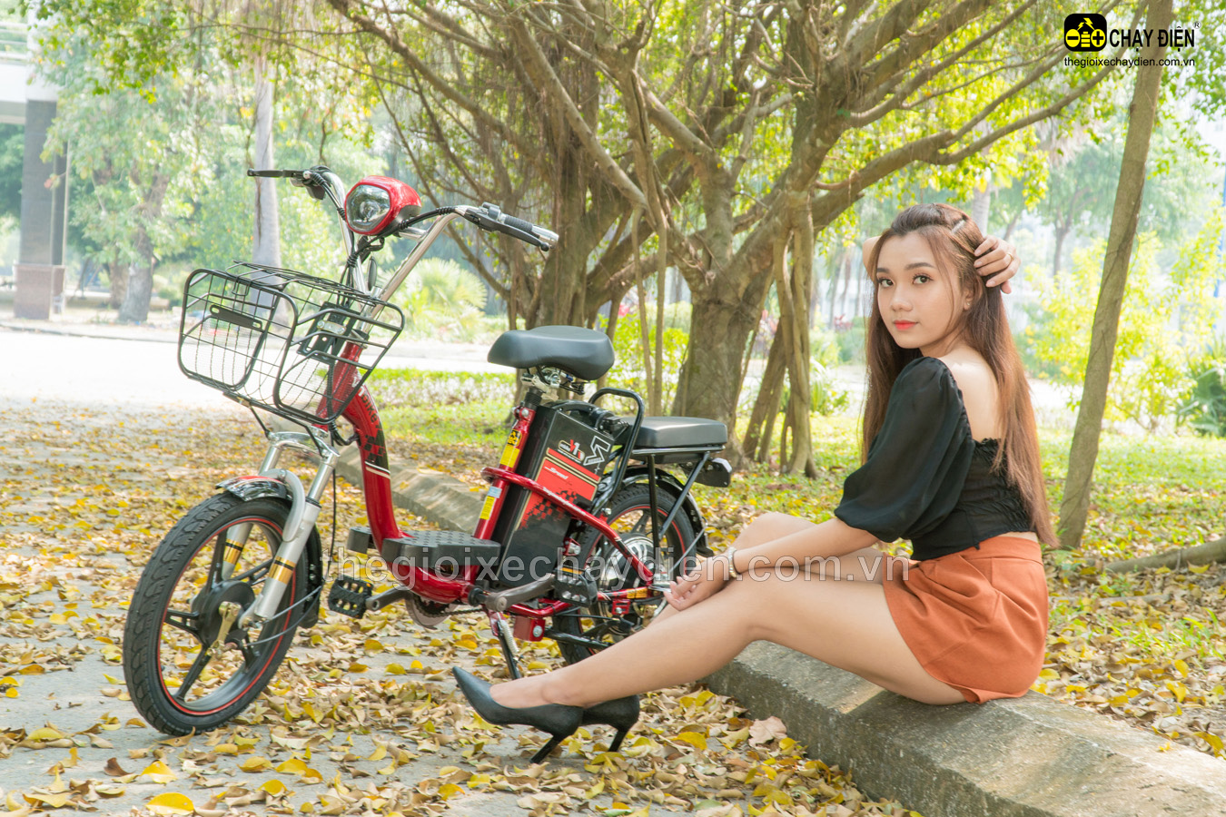 XE ĐẠP ĐIỆN VNBIKE V1 18INCH