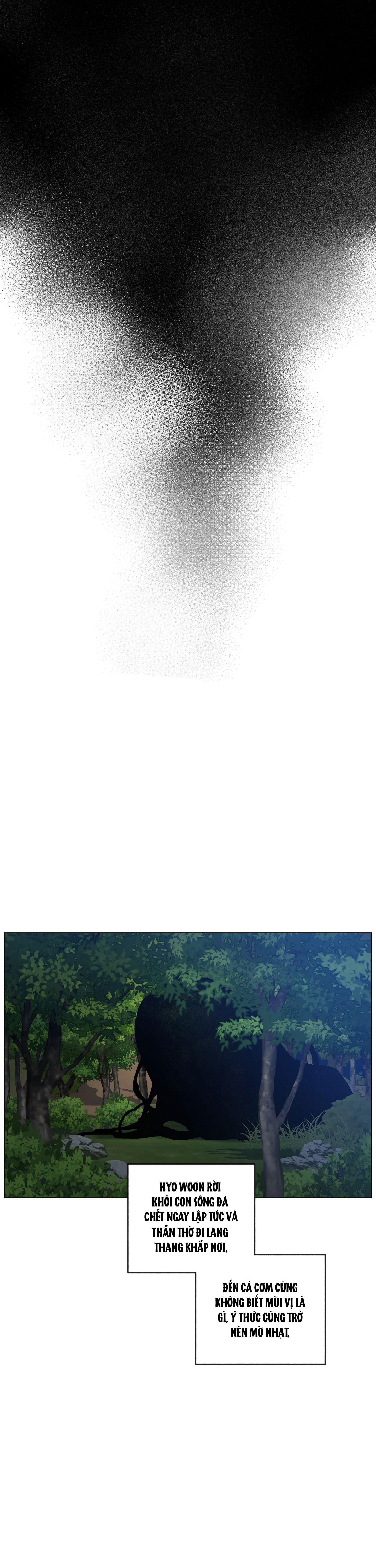 bình minh, mây và sông chapter 34 11