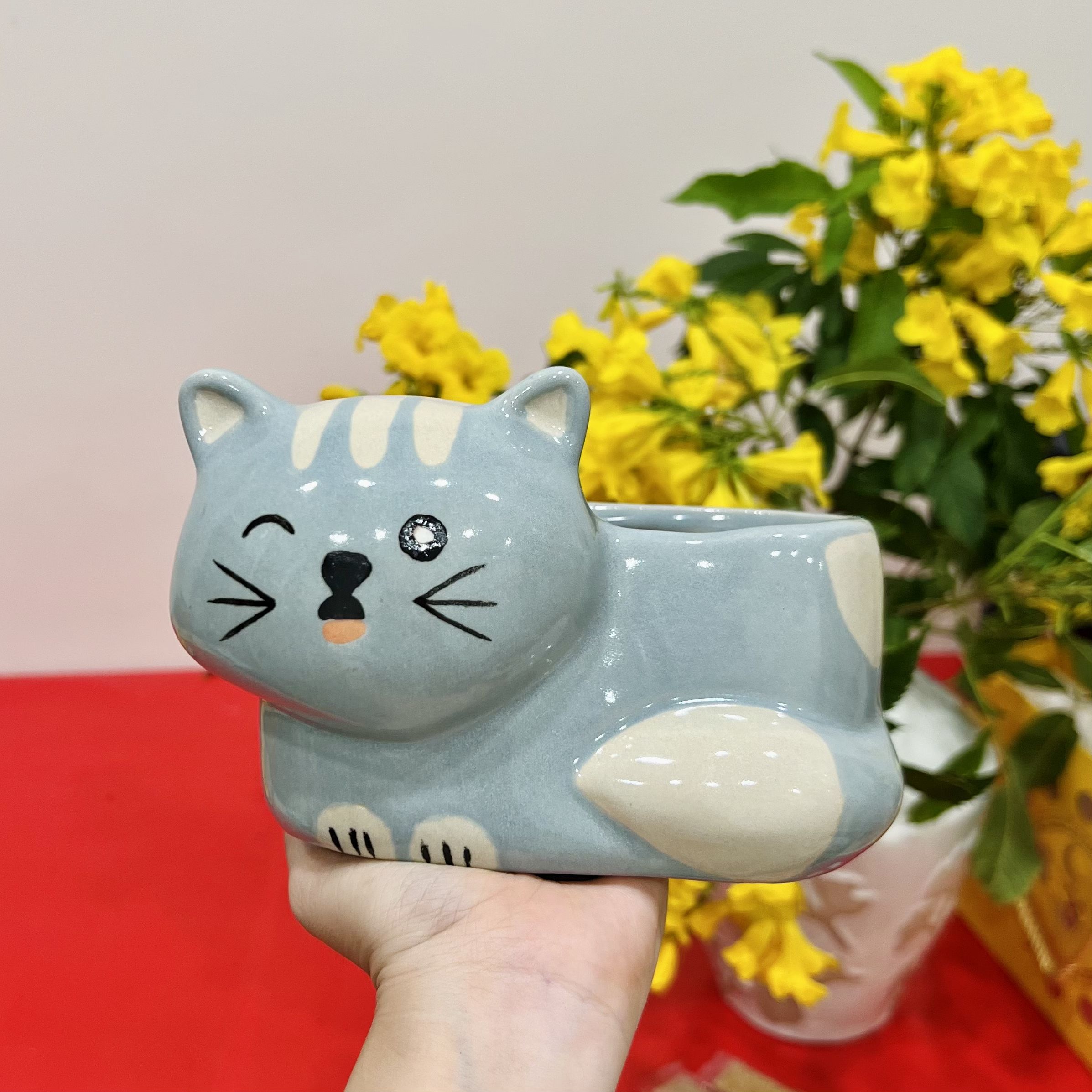 Chậu hoa gốm sứ trồng sen đá mini URSPACE trang trí phòng khách phong cách thiên nhiên