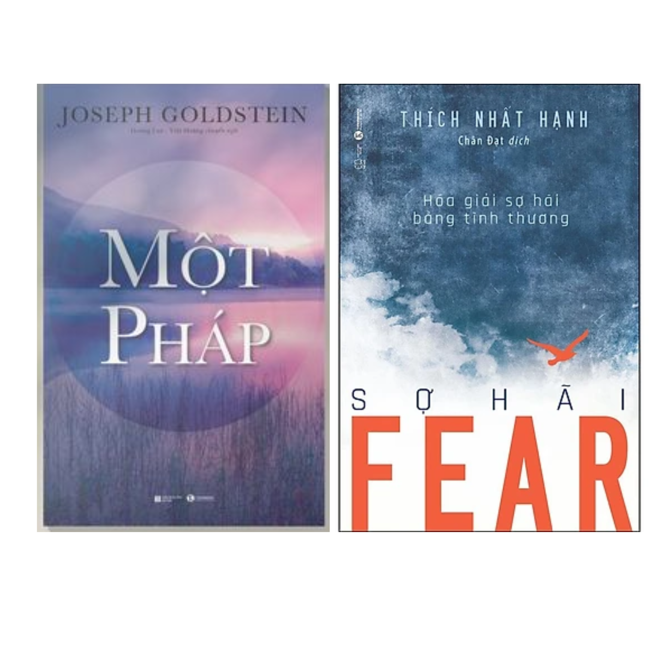 Combo 2Q Sách Tôn Giáo - Tâm Linh : Một Pháp + Fear - Sợ Hãi - Hóa Giải Sợ Hãi Bằng Tình Thương