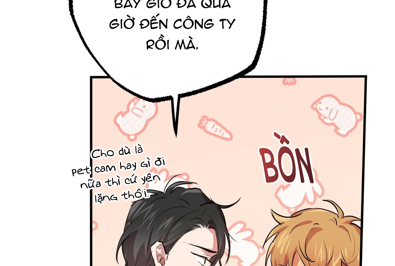 đàn thỏ của habibi chapter 28 213