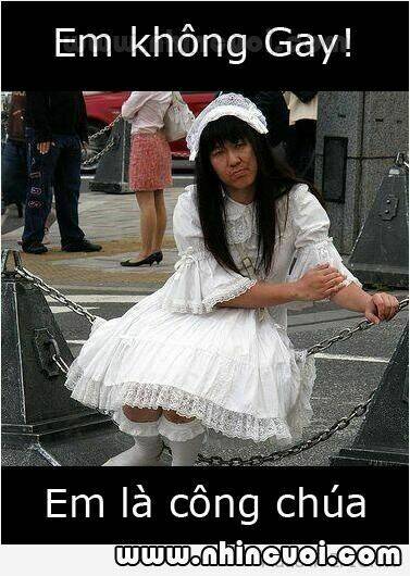 hình ảnh hài hước new chapter 17 13