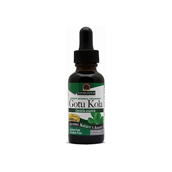 Nature's Answer Gotu-Kola Herb 90 Capsules