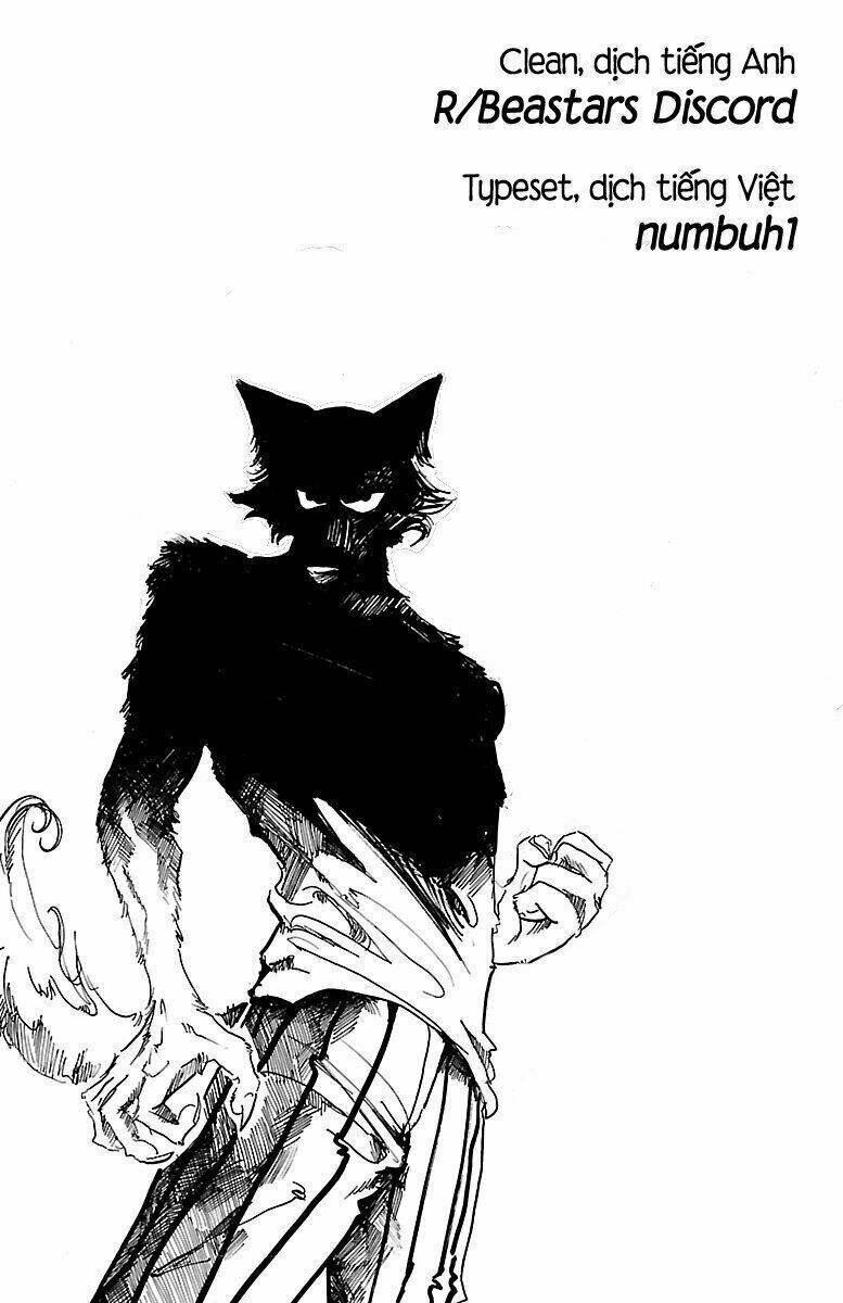 Bởi vì chúng ta đều là những ngôi sao chapter 17.5 5