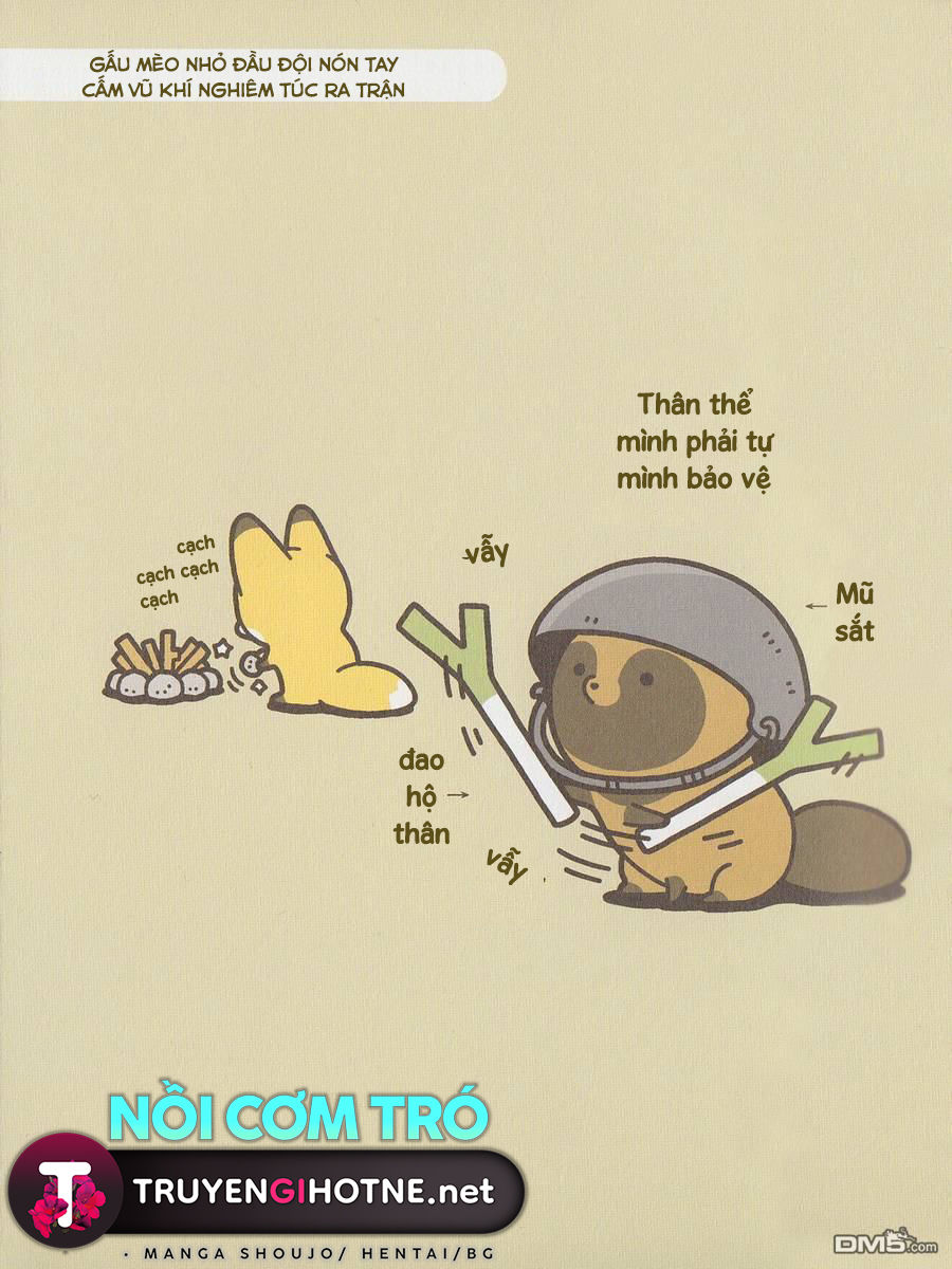 cáo và gấu mèo chapter 3 3