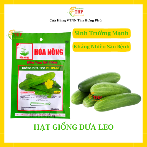 Hạt giống Dưa Leo F1 HN-41 | Hạt Giống | gói 0.5gr