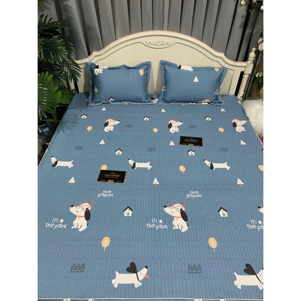 Ga chun trần mẫu họa tiết 100% cottong đẹp kèm 2 vỏ gối trần bông