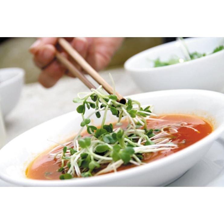 Hạt giống cải mầm Phú Nông - 30g