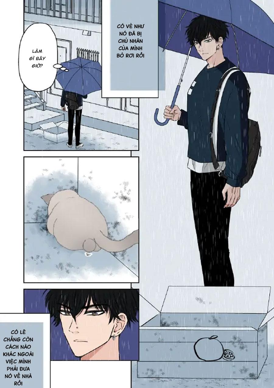 tổng hợp oneshot nhà guess chapter 64 2