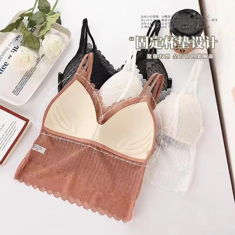 Áo bra ren 1806 4 màu