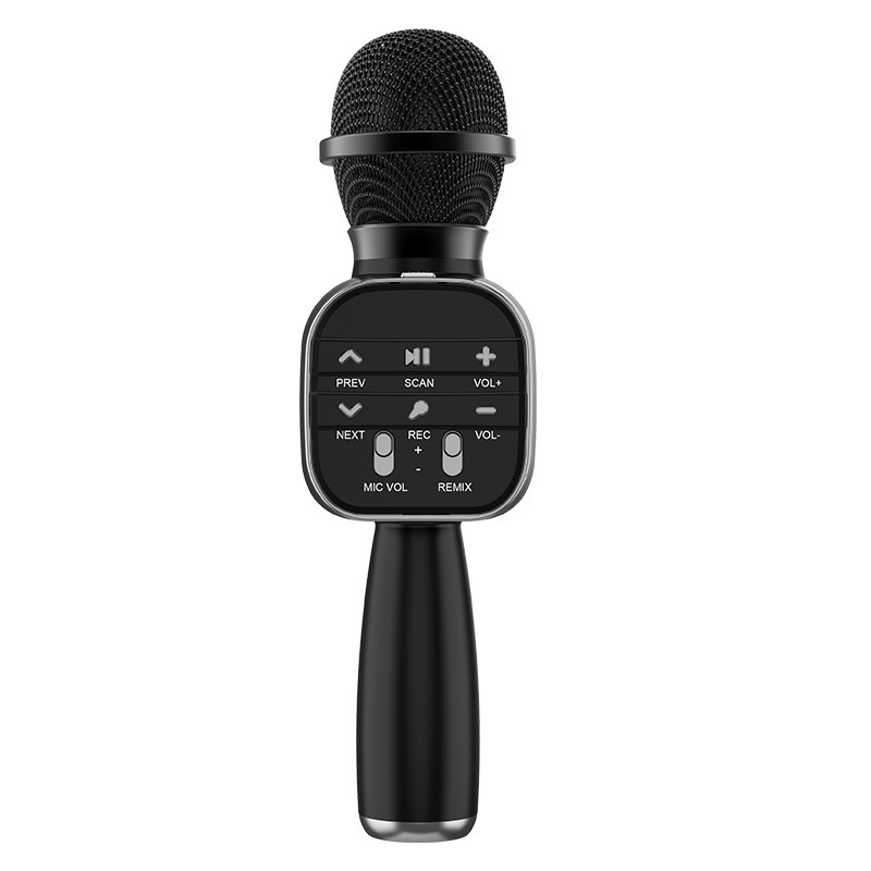 Mic Hát Karaoke Không Dây/Loa Bluetooth DS813 Âm Thanh Sắc Nét