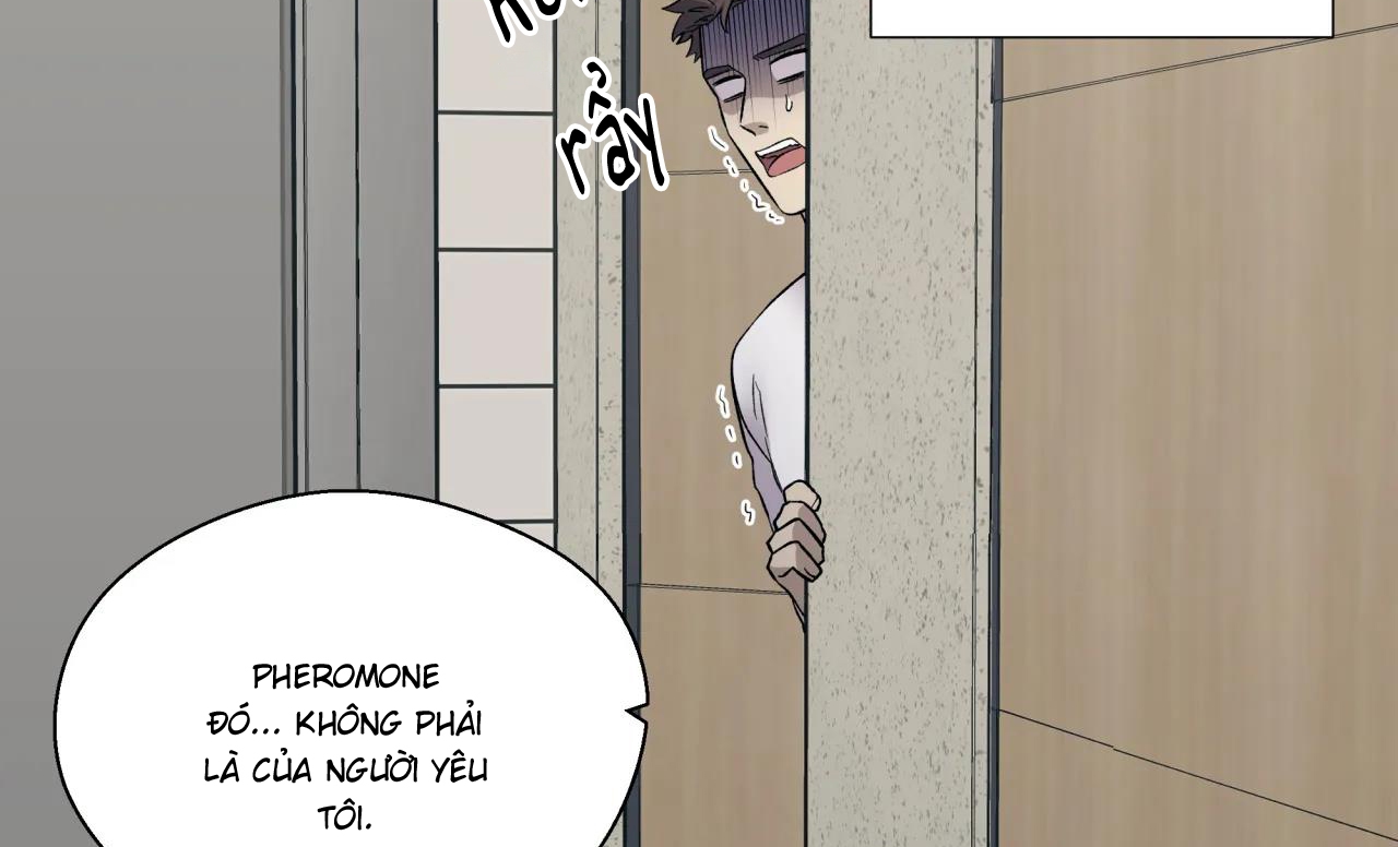 ám ảnh pheromone chapter 30 72