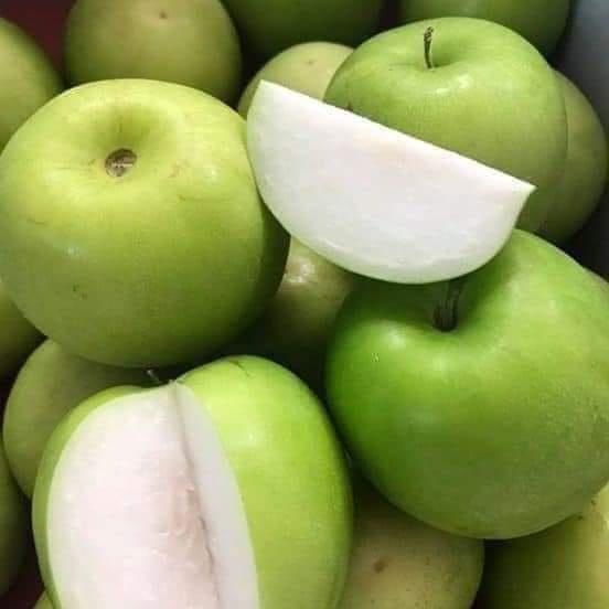 Giống Cây Táo Đại thái lan