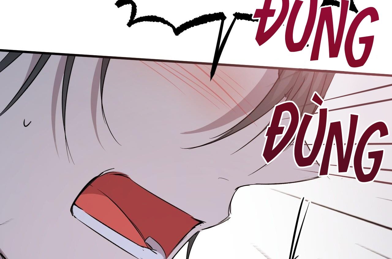 những chú thỏ của hapypy chapter 58 166