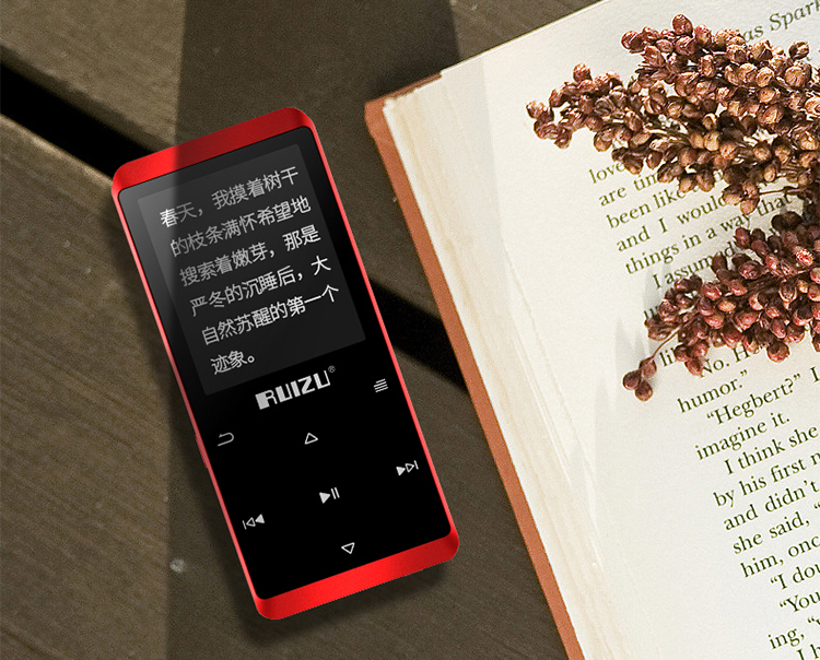 Máy Nghe Nhạc Lossless Bluetooth Ruizu D02 4GB - Hàng Chính Hãng