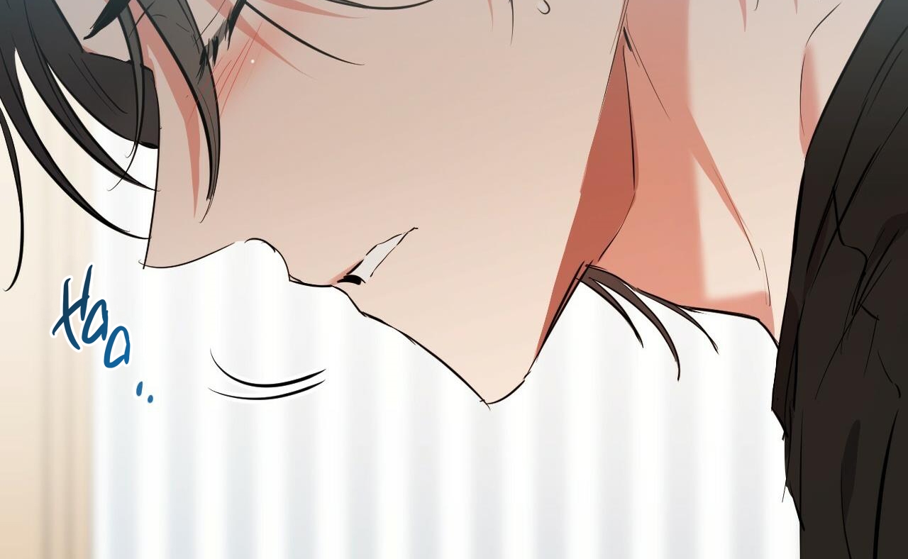 những chú thỏ của hapypy chapter 52 74