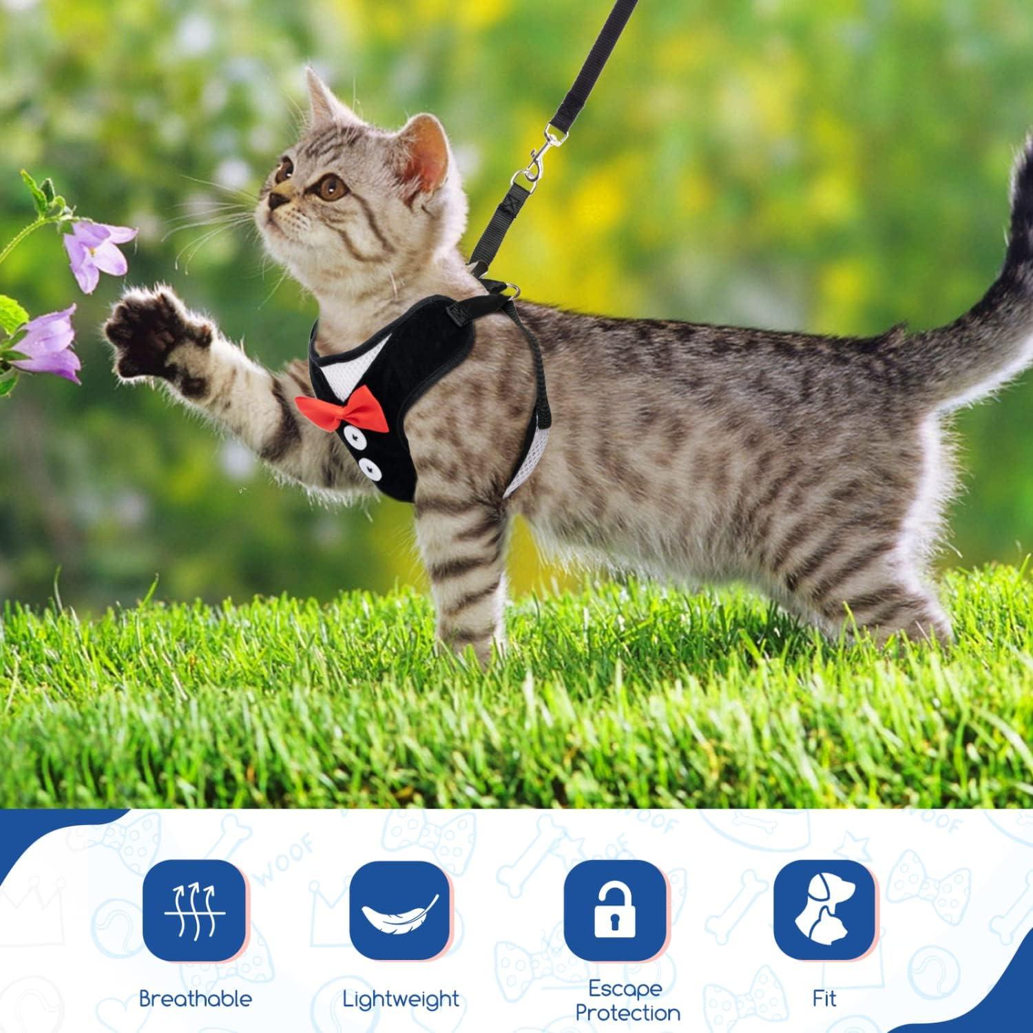 Dây dắt và dây xích cho mèo, Chống thoát hiểm cho mèo có thể điều chỉnh, Váy dự tiệc cho thú cưng nhỏ Puppy Kitten