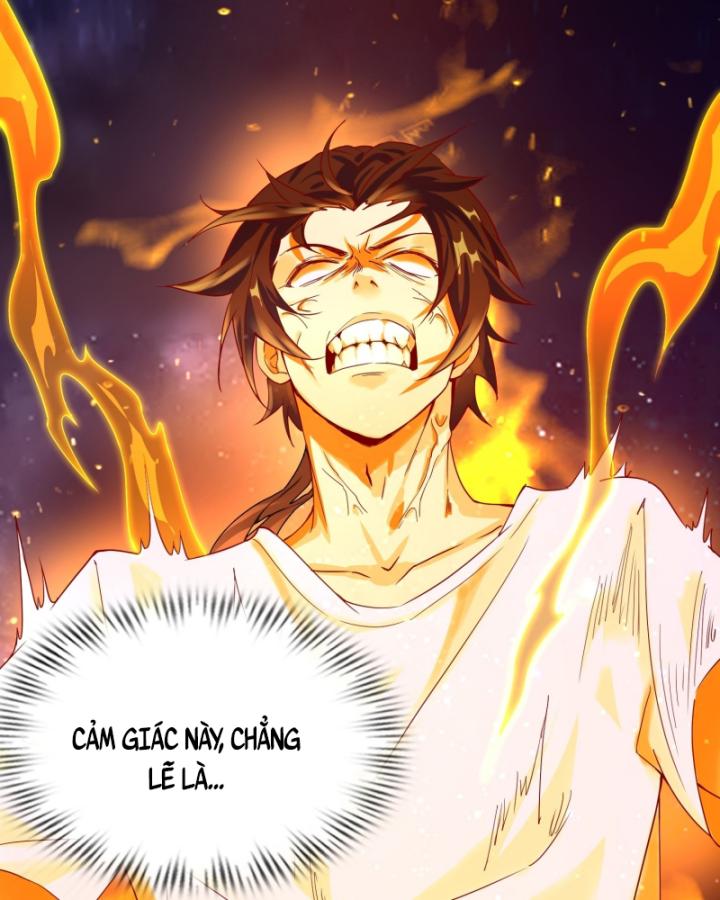 người tu luyện toàn trí toàn thức chapter 2 29