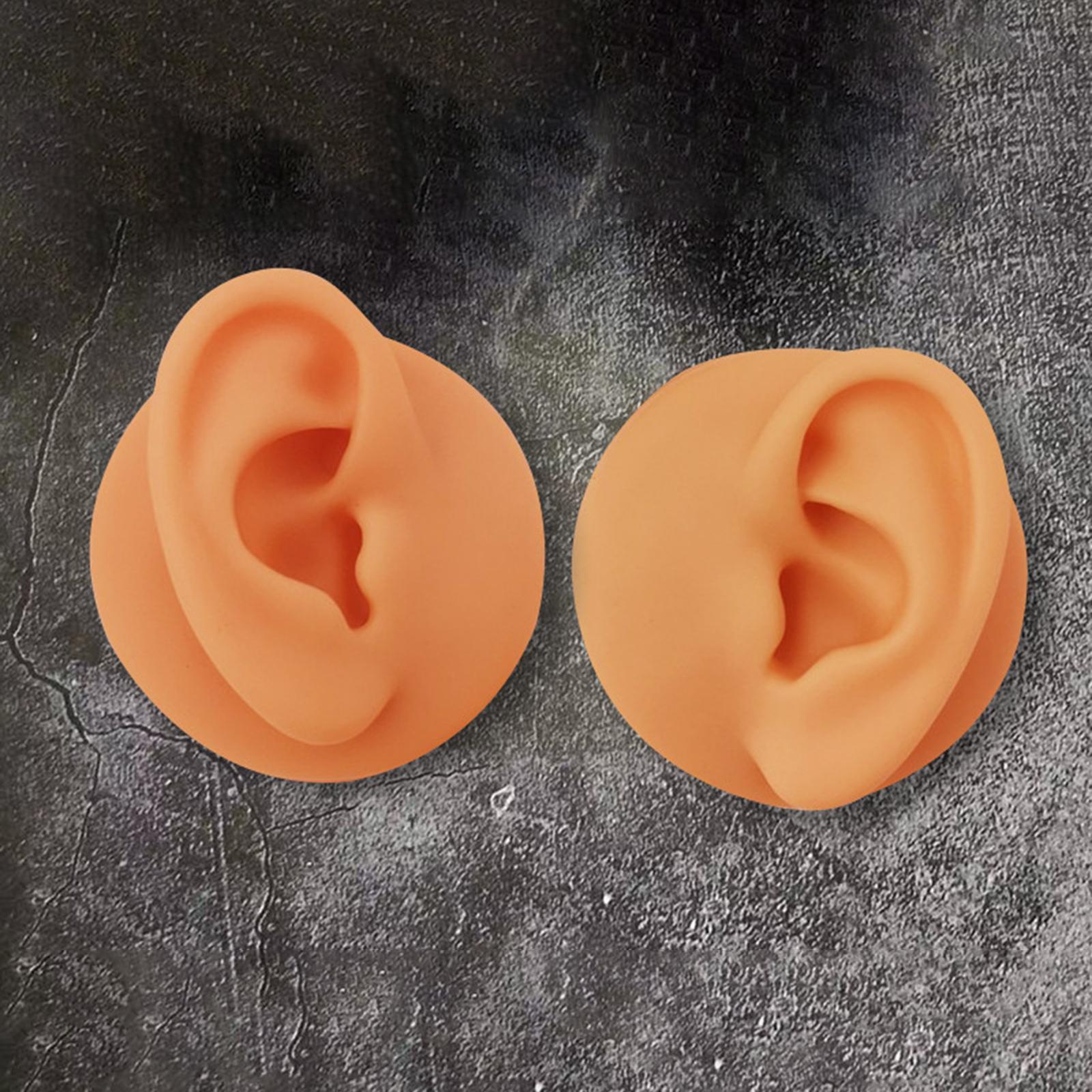 Soft Silicone Ear Model Simulated Ear Models Rubber Washable for Shop Brown