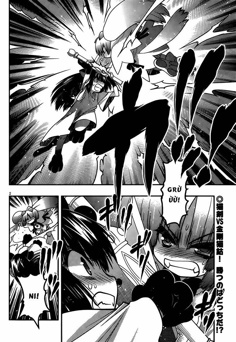 tamanyan chapter 7 4