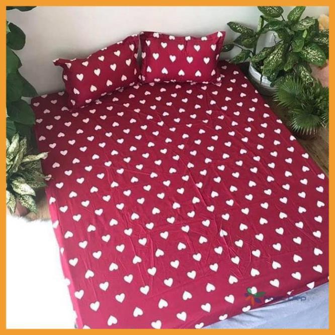 Bộ ga gối poly cotton tim đỏ